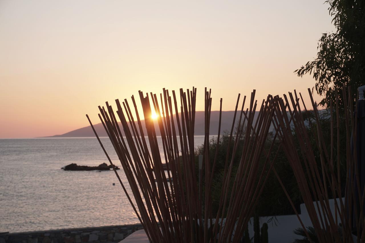 Pyrthea Houses Koufonisia Kültér fotó